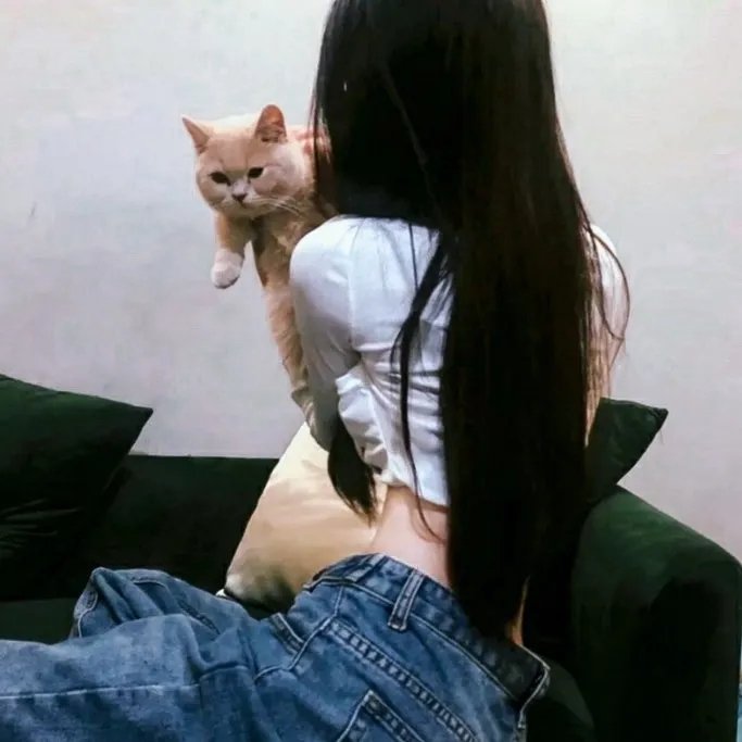 鞋猫剑客