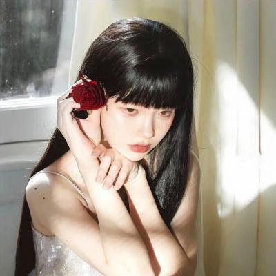 冬狮(电视剧)